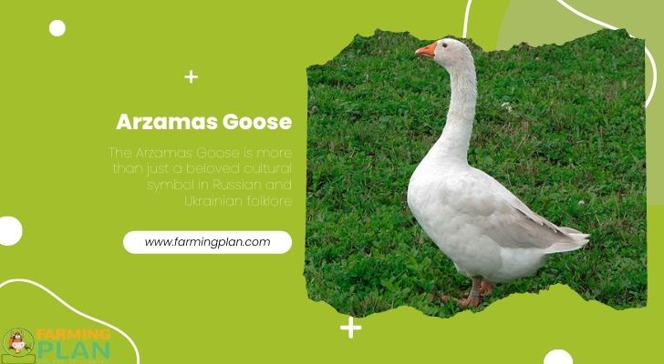 Arzamas Goose