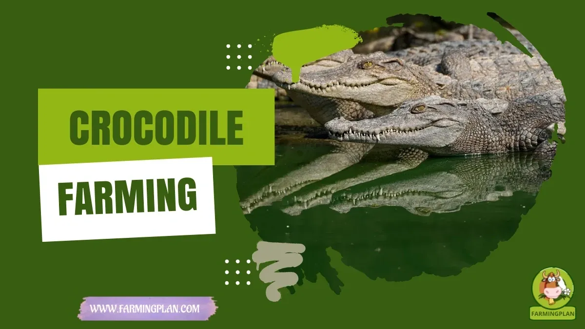 Crocodile Farming Farming Guide