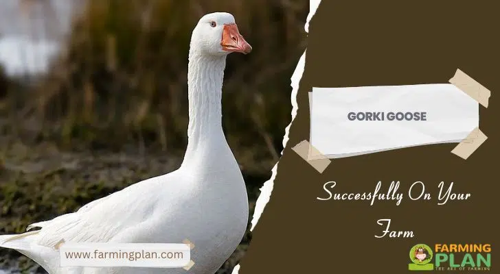 Gorki-Goose