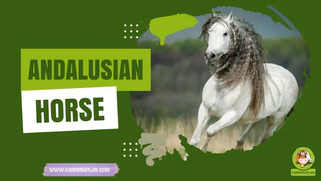 Andalusian Horse Care Made Easy characteristics, agricultural utility and breed care guide