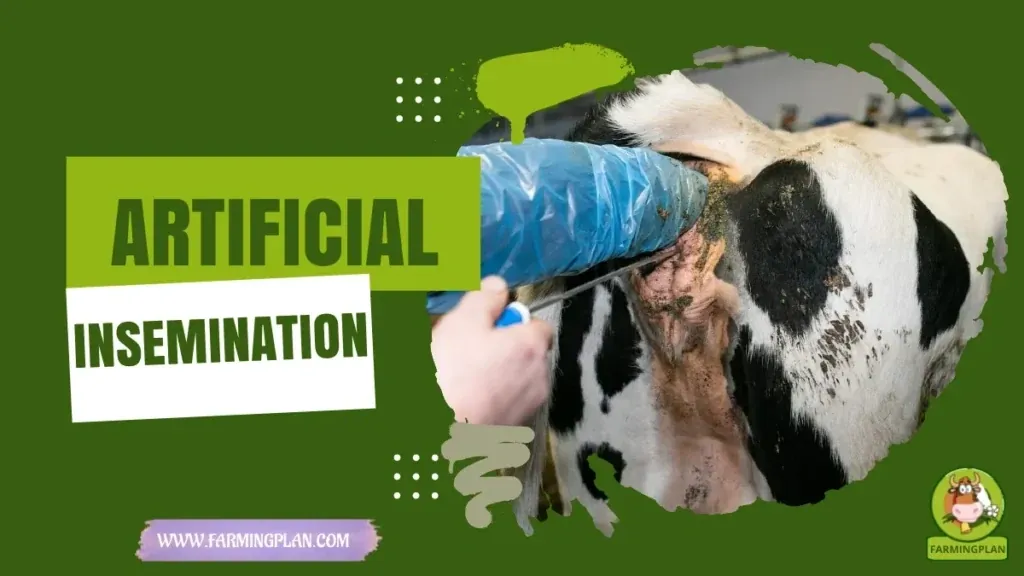 Artificial Insemination characteristics, agricultural utility and breed care guide