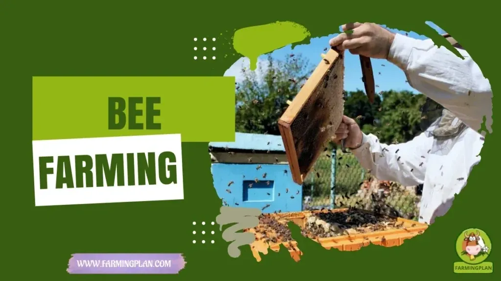 Beekeeping for Beginners - Farming & Breed Profile Beekeeping for Beginners characteristics, agricultural utility and breed care guide