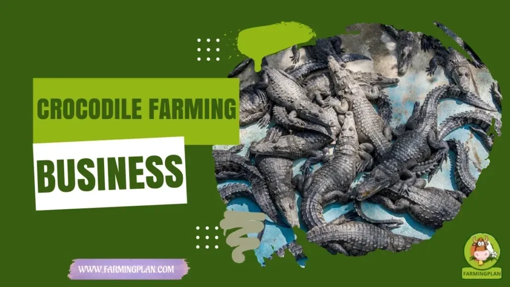 Crocodile Farming Business characteristics, agricultural utility and breed care guide