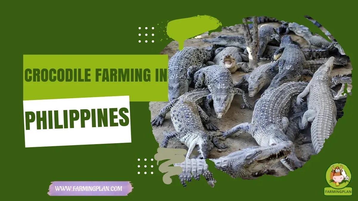 crocodile farming in philippines