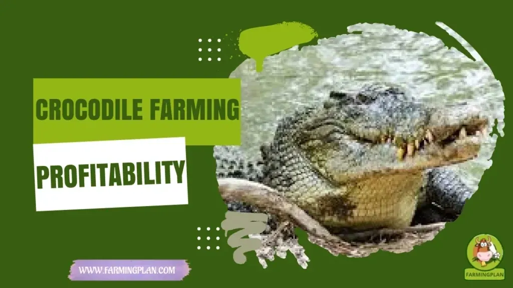 Crocodile Farming Profitability characteristics, agricultural utility and breed care guide