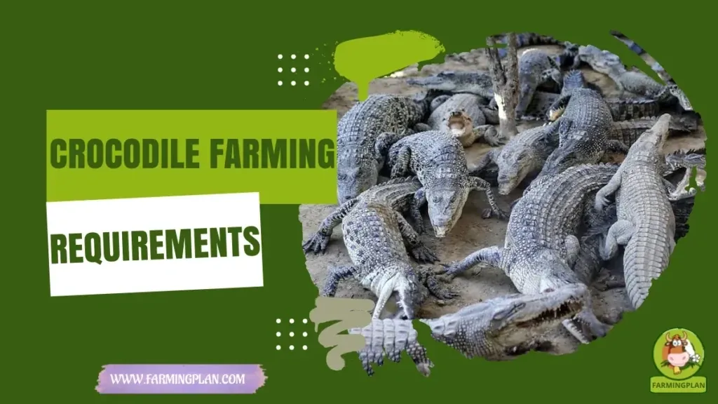 Crocodile Farming Requirements characteristics, agricultural utility and breed care guide