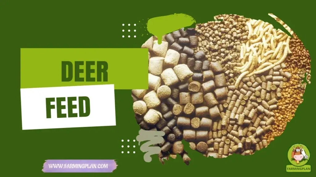 Deer Feeding Guide - Farming & Breed Profile Deer Feeding Guide characteristics, agricultural utility and breed care guide