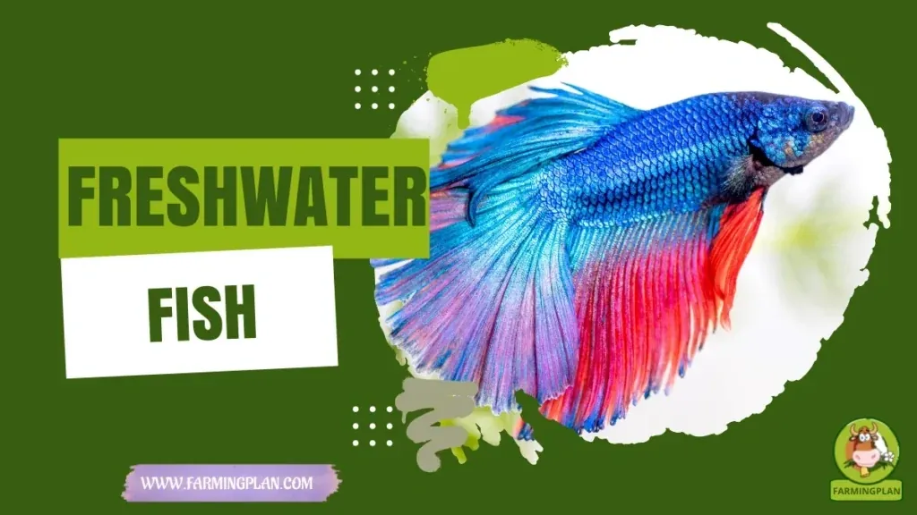 Freshwater Fish - Farming & Breed Profile Freshwater Fish characteristics, agricultural utility and breed care guide