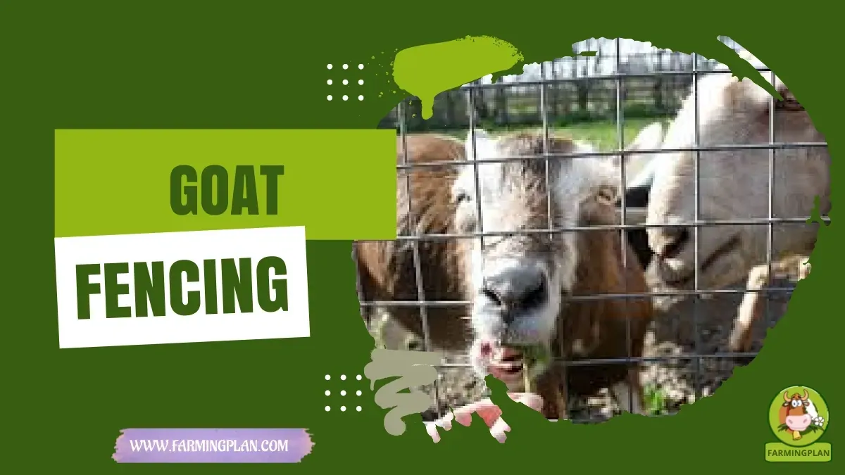 Goat Fencing characteristics, agricultural utility and breed care guide