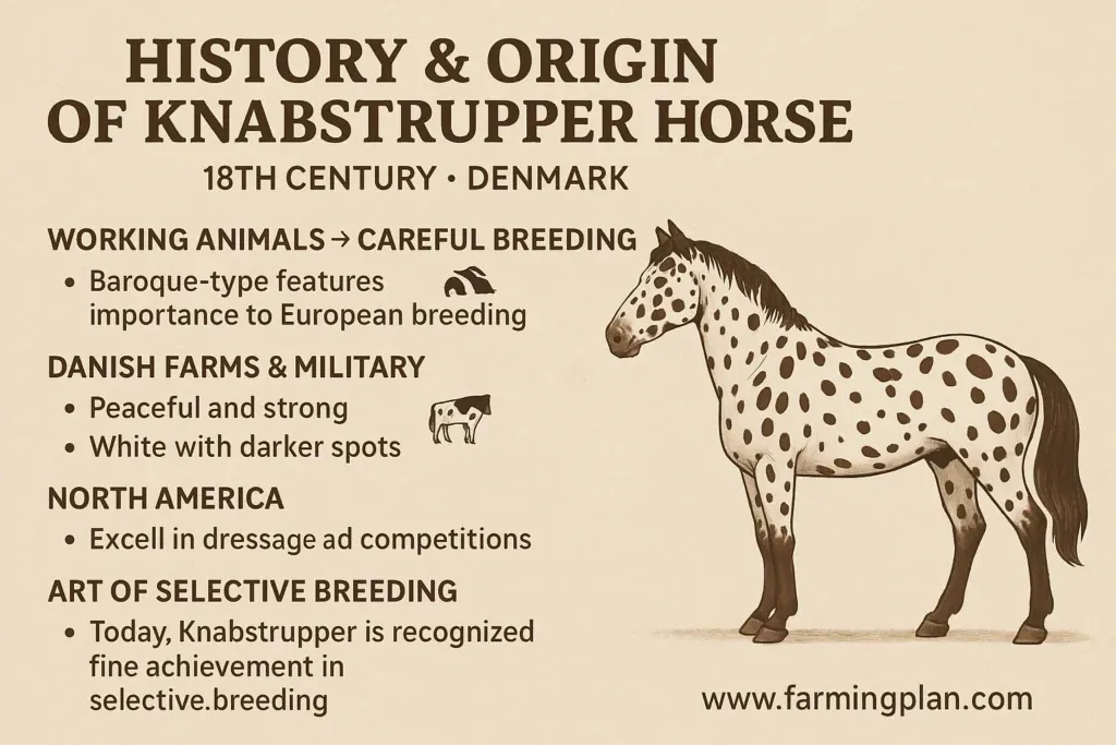 Knabstrupper Horse - Farming & Breed Profile history & origin of knabstrupper horse