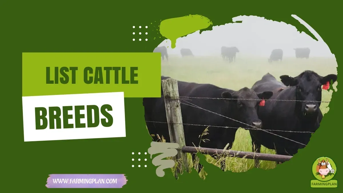 Cattle Breeds characteristics, agricultural utility and breed care guide