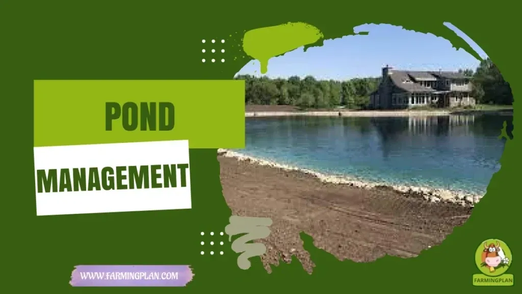 Farm Pond Management characteristics, agricultural utility and breed care guide