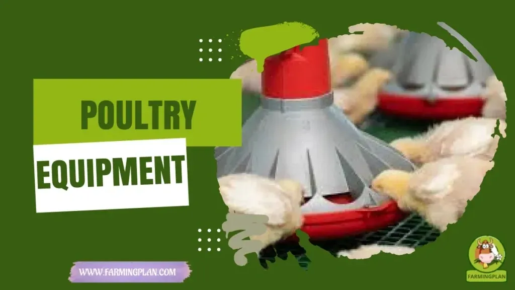Poultry Equipment characteristics, agricultural utility and breed care guide