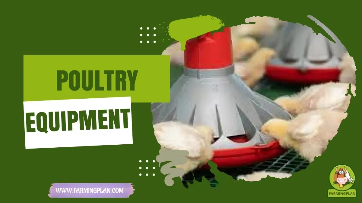 Poultry Equipment characteristics, agricultural utility and breed care guide