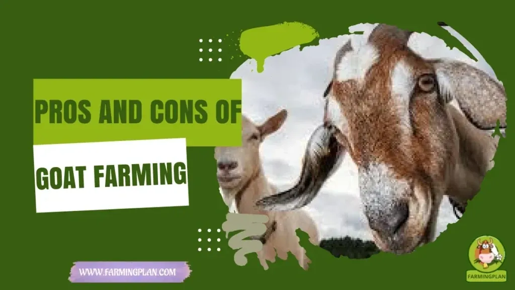 Pros and Cons of Goat Farming characteristics, agricultural utility and breed care guide