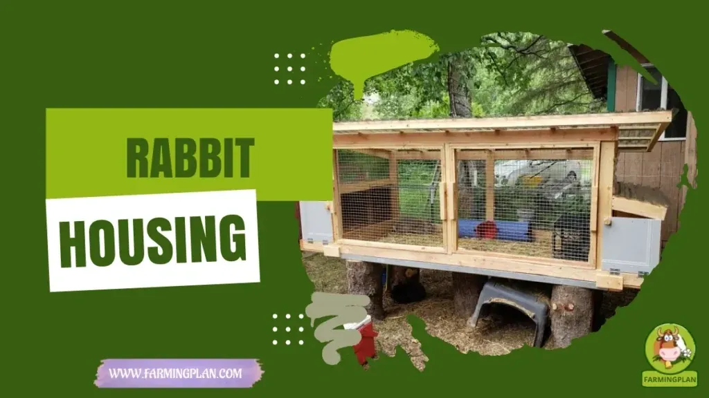 Rabbit Housing Guide - Farming & Breed Profile Rabbit Housing Guide characteristics, agricultural utility and breed care guide