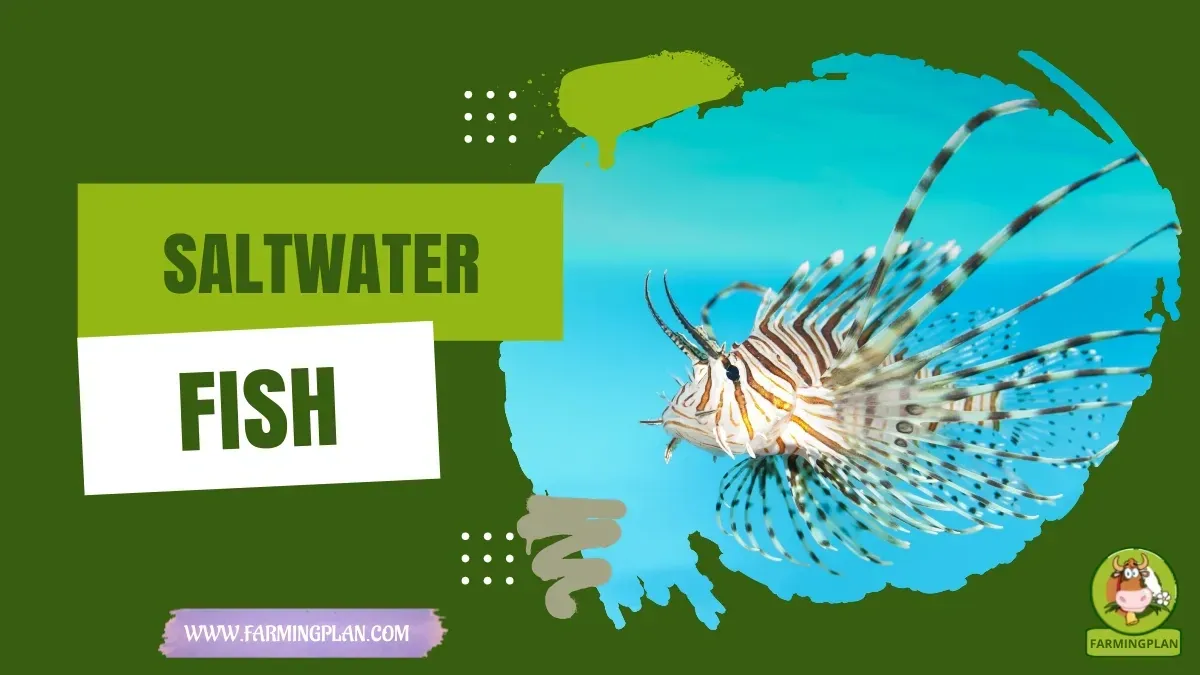 Saltwater Fish characteristics, agricultural utility and breed care guide